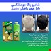 شامپو رنگ مو مشکی بابل موس